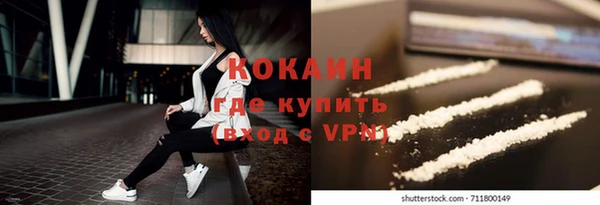 шишки Наволоки